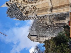 [MECENAT]Locacuisines-Notre-dame-de-paris photo 44
