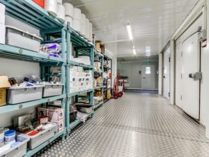 Realisation-rosny-sous-bois-restaurant-rigatoni-stockage-sec