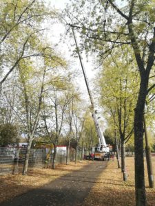 cuisine-mobile-la-queue-lez-yvelines-perimetre-securite-grutage